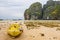 Maya Beach - Rainy Day in Phi Phi Leh