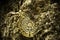 Maya , MYC golden coin mining in deep golden cave - 3d