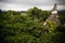 Maya pyramid in Tikal