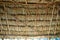 Mayan palapa ceiling roof with palm tree