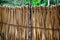 Mayan palm tree leaves wood fence in rainforest