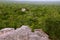 Mayan pyramids in Calakmul campeche mexico XIII