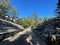 Mayan ruin of the ball game of the Mayan civilization of Coba, in the Yucatan peninsula in Mexico, where the Mayans played the