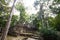 Mayan ruins in the middle of the Mexican jungle, ancient stone buildings invaded by plants and trees. jungle that takes possession