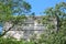 Mayan stone construction half hidden by trees