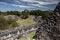 Mayan Temples in Forest