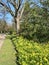 Mayor Berghuis Voorschoten Park with daffodils flowering.