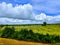 Maze Fields with dark blue fluffy clouds in summer time on a country side rural place in a farming land