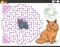 maze game with cartoon cats animal characters