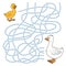 Maze game (goose family)