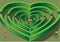 Maze in the shape of concentric hearts,