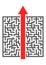 Maze Shortcut