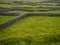 Maze of stone fences and green grass fields, Landscape in Inis mor Aran Islands, county Galway, Ireland