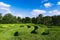 Maze under blue sky in Thailand