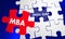 MBA Master Business Administration Puzzle Piece Fill Skill Gap 3