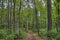 McCarthy Beach State Park in Northern Minnesota