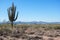 McDowell Sonoran Preserve, Arizona