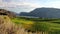 McIntyre Bluff Vineyard Winery Okanagan Falls British Columbia