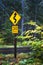 McKenzie Pass road sign to drive slow due to curves