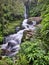 McLean Falls (Catlins Forest Park New Zealand)