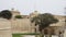 Mdina - MALTA, April, 2018: Ancient walls and fortifications of Mdina. Mdina is populer tourist destination in Malta.