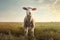 meadow animal wool green grass lamb sun field sheep farm. Generative AI.