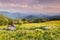 Meadow Appalachian Trail Western North Carolina