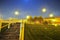 Meadow with ascending stairway and trees by night