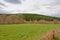 Meadow with bare deciduous winter trees and hill wiht pine forest under a cloudy sky