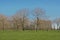 Meadow with bare trees in the flemish countryside