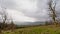 Meadow with bare trees and foggy spruce forest and mountians on Montpelier hill,  Dublin