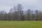 Meadow with bare trees in Kadriorg park, Tallinn