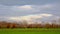 Meadow with bare willow trees against a cloudy winter sky in the Flemish countrysid