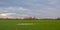 Meadow with bare willow trees against a cloudy winter sky in the Flemish countryside