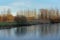 Meadow with bare winter trees along river Scheldt in the Flemish countryside