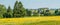 Meadow with blooming yellow flowers and dandelions. The outskirts of the Ural village in the Perm region, Russia