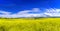 Meadow with blue sky above