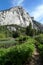 Meadow, boardwalk and granite dome