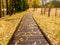 Meadow with boardwalk in Yosemite National Park Valley at autumn