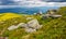 Meadow with boulders in Carpathian mountains in summer