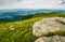 Meadow with boulders in Carpathian mountains in summer