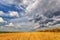 Meadow and cloudy sky