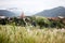 Meadow and contemporary temple scene