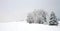 Meadow covered with snow with a line of trees and a roadside cross.