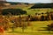 Meadow of Czech landscape