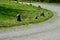 Meadow and a dirt road with a clattering mud in a bend. so that the vehicles orient themselves and do not shorten their track else