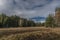 Meadow with dry grass after summer near Jezerni creek in autumn cloudy day