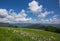 Meadow expanses with asphodels and narcissus flowers under a blue sky with clouds.