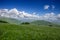 Meadow expanses with narcissus flowers under a blue sky with clouds.