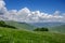 Meadow expanses with narcissus flowers under a blue sky with clouds.